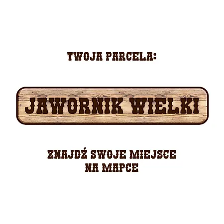 Gory Stolowe Camp -Miejsce Na Kamper, Przyczepe Lub Namiot Radkow Exterior foto