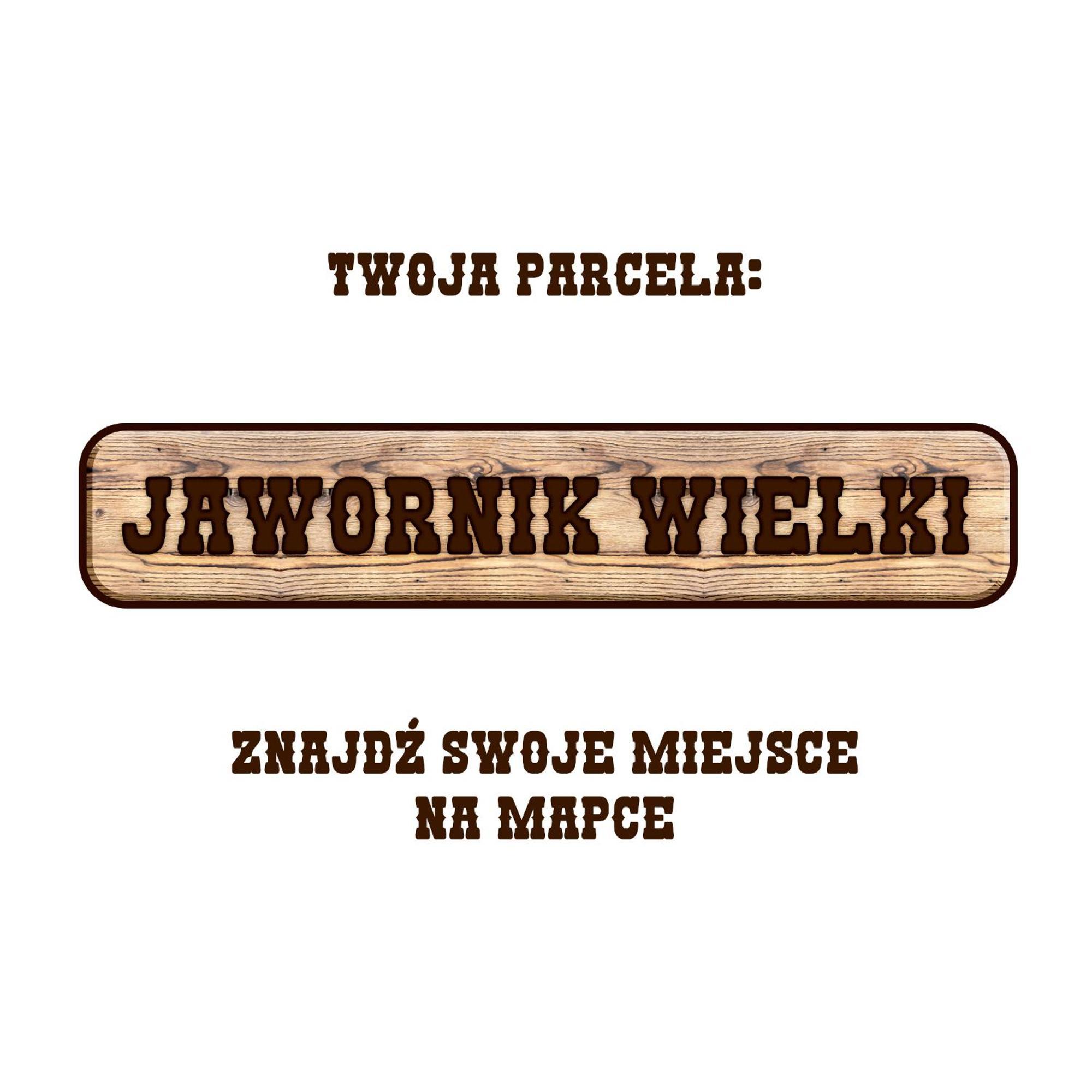 Gory Stolowe Camp -miejsce Na Kamper, Przyczepe Lub Namiot Campsite